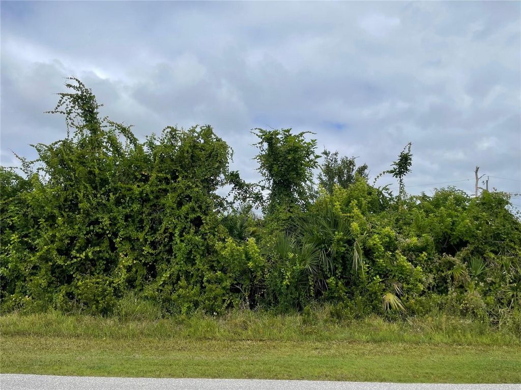 Photo of 11216 Carnegie Avenue, Englewood, FL 34224 (MLS # A4668572)