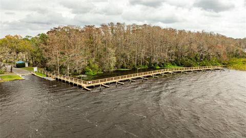 A home in PALM HARBOR