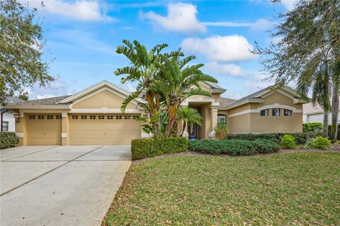 A home in PALM HARBOR