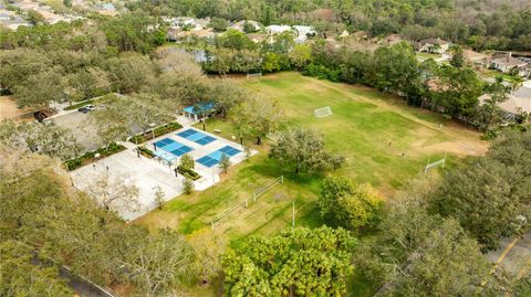 A home in PALM HARBOR