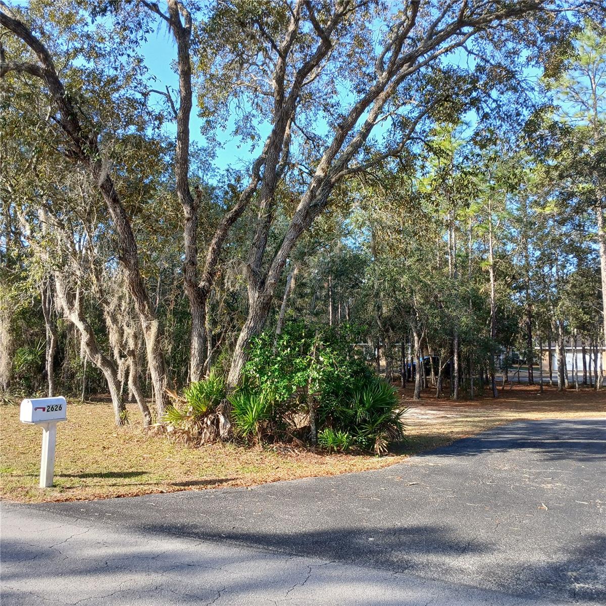 CITRUS PARK - Residential