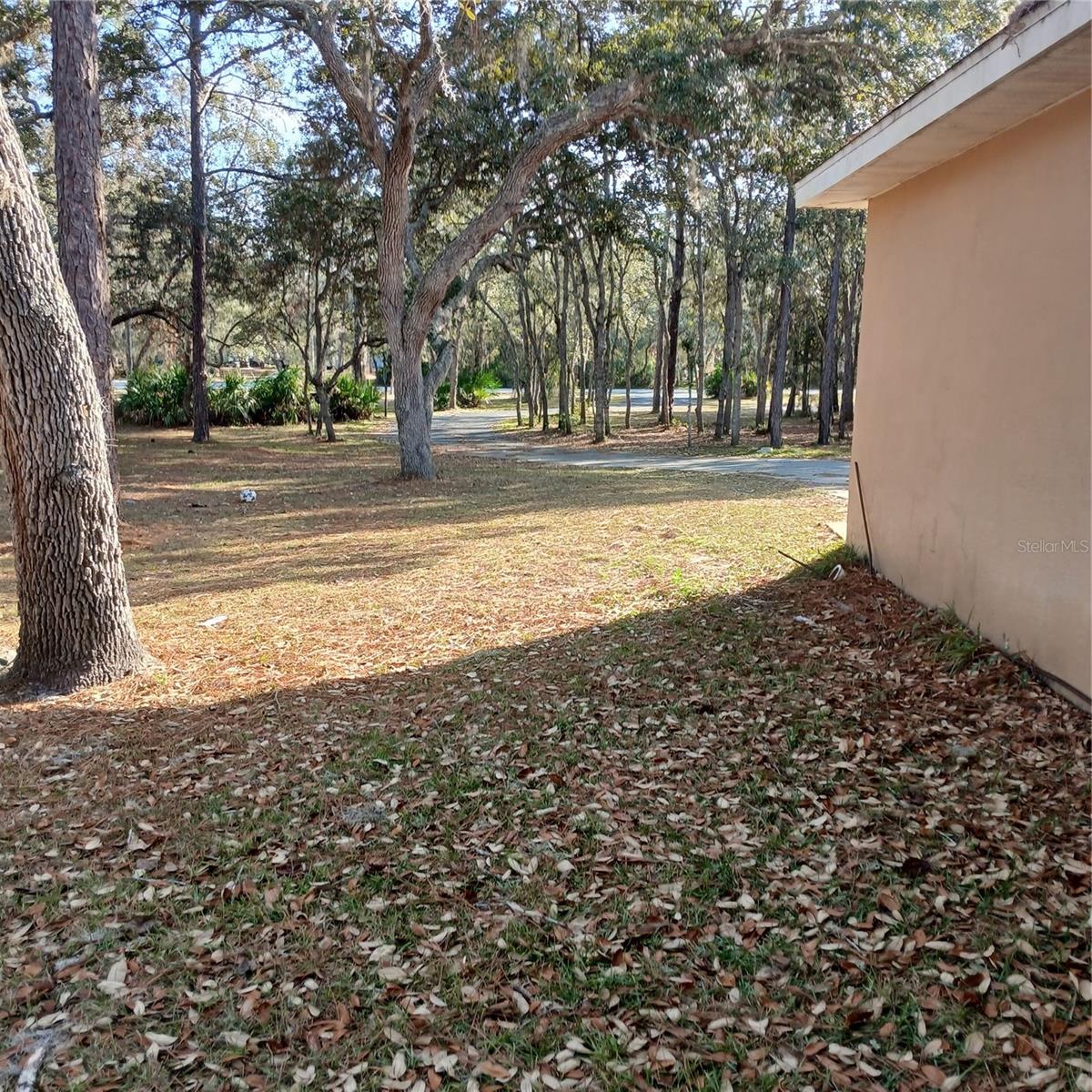 CITRUS PARK - Residential