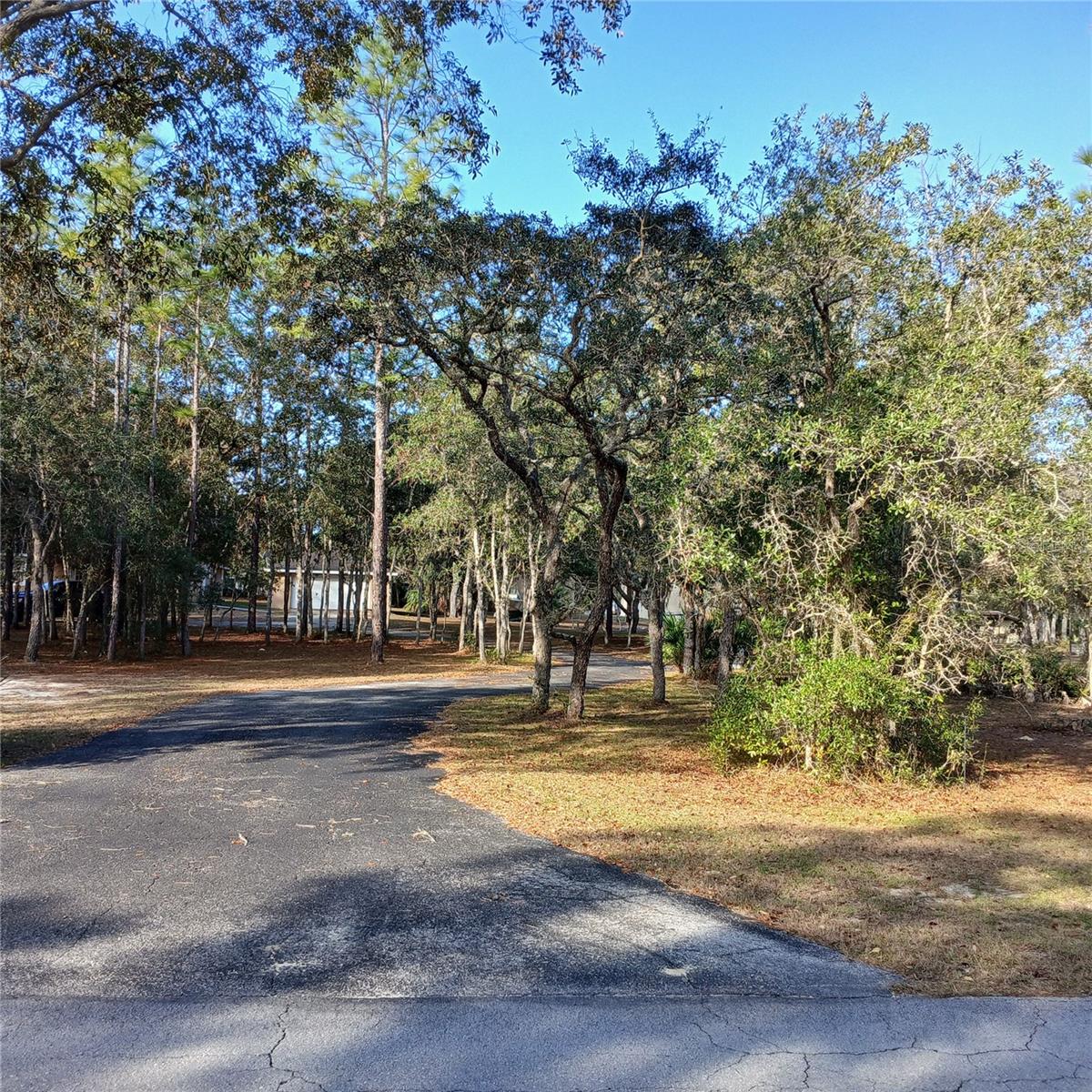 CITRUS PARK - Residential