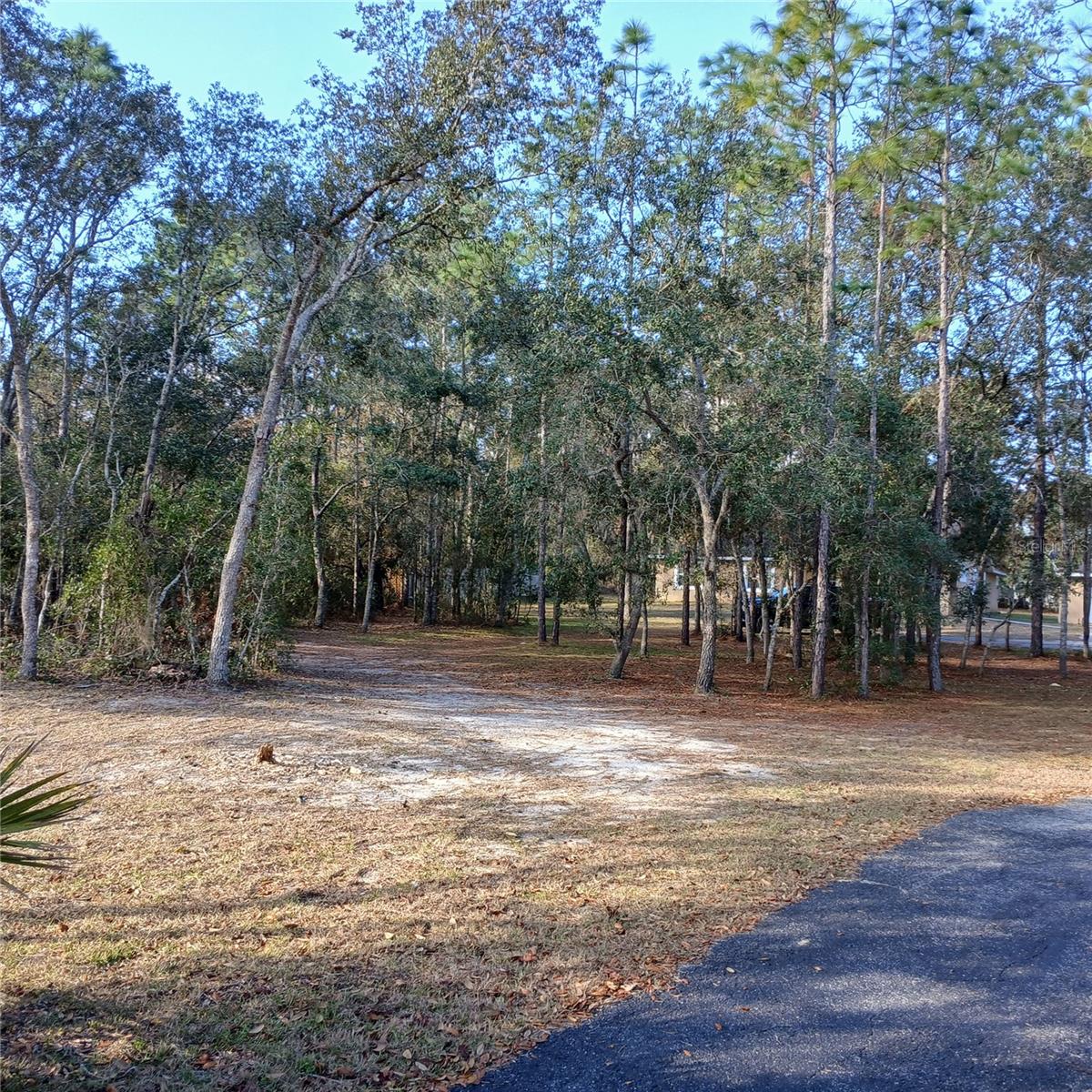 CITRUS PARK - Residential