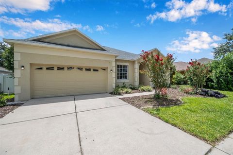 A home in VALRICO