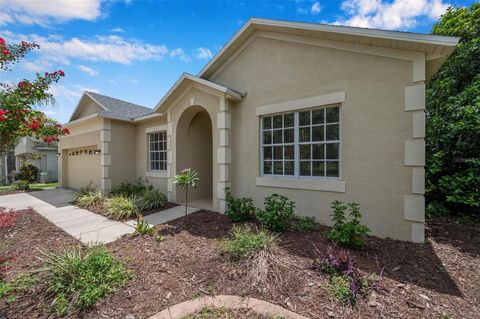 A home in VALRICO