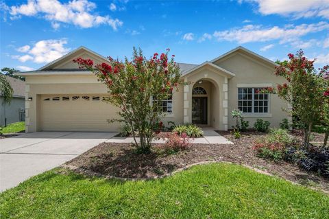 A home in VALRICO