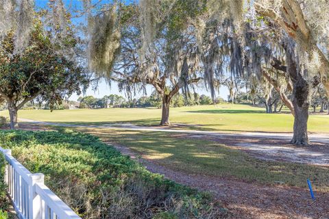 Tiny photo for 17487 SE 84th Foxgrove Avenue, The Villages, FL 32162 (MLS # G5102212)