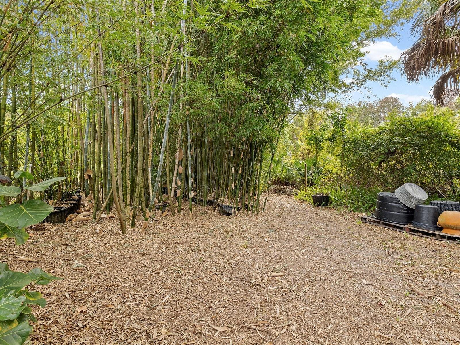 HIDDEN LAKE ESTATES - Residential