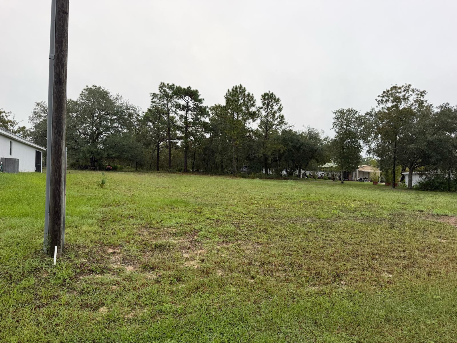 14042 ENGLISH SPARROW ROAD