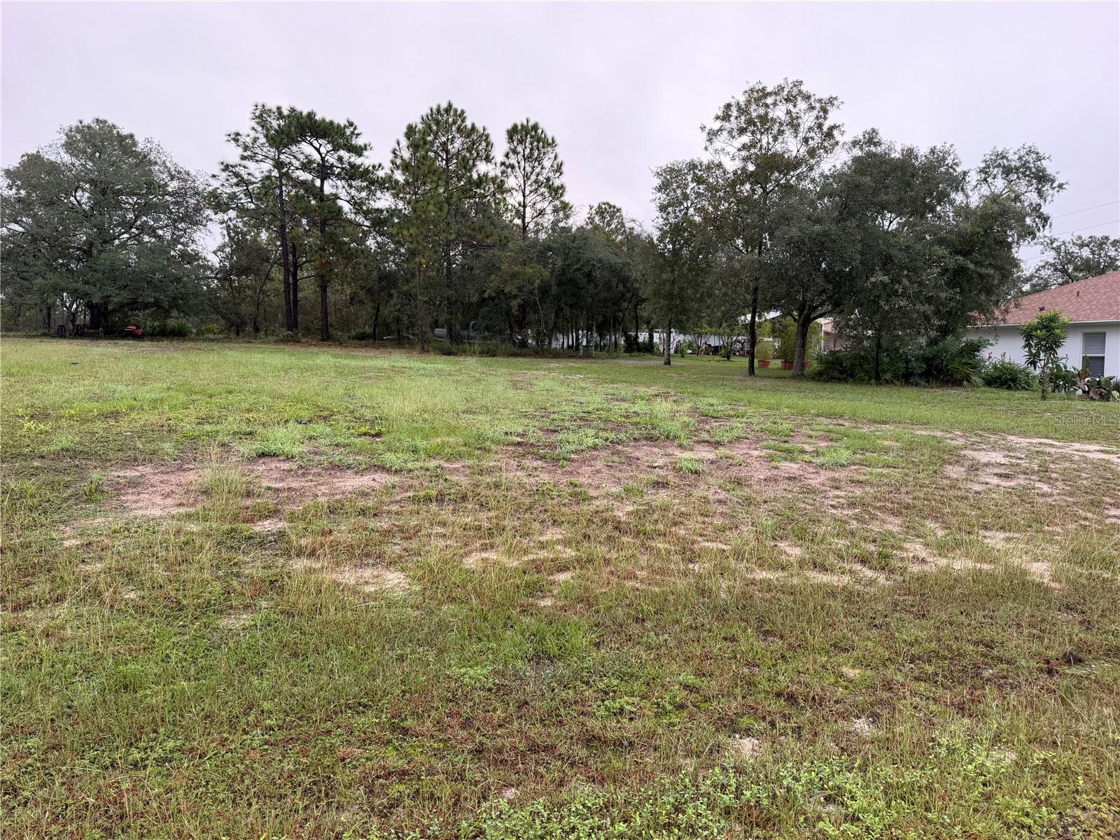 14042 ENGLISH SPARROW ROAD