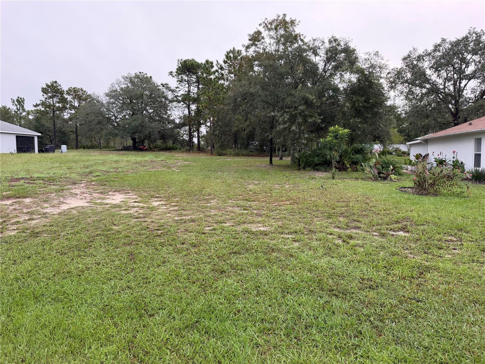 14042 ENGLISH SPARROW ROAD
