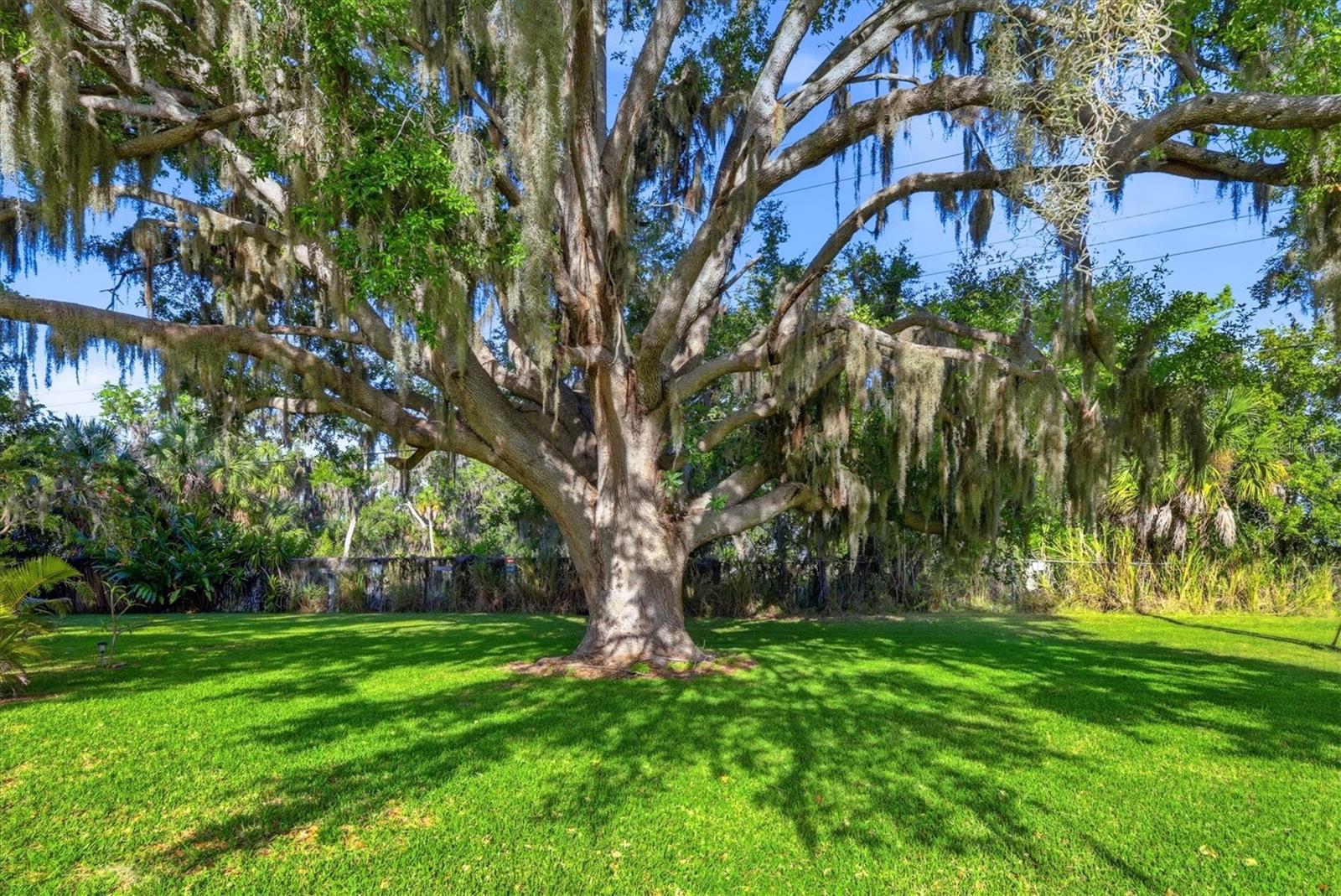 TIDEVUE/DE SOTO COMMUNITY UNIT ONE - Residential
