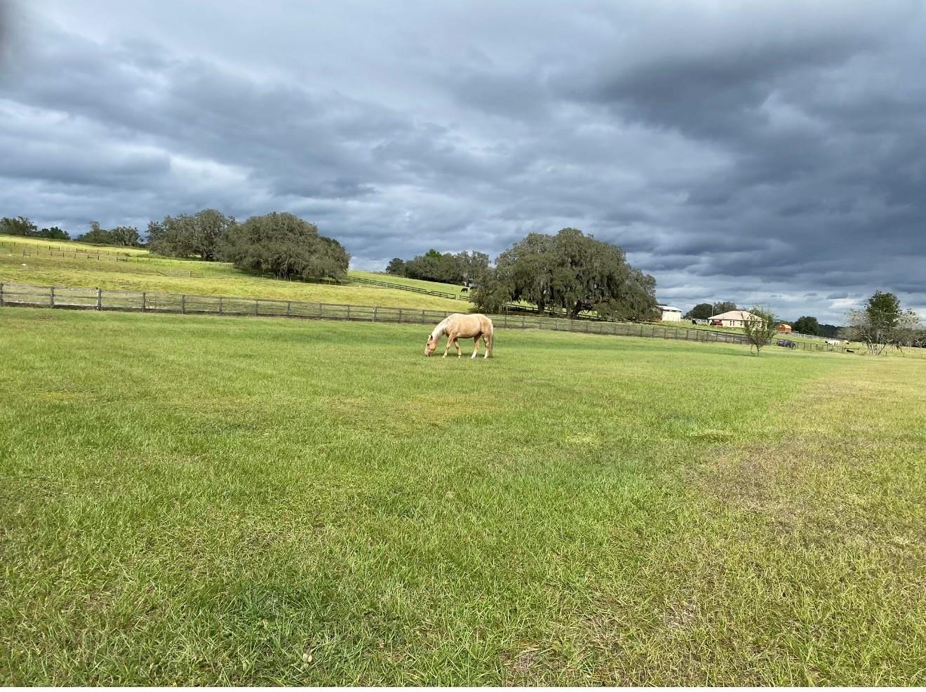 HUNTER HILL - Residential