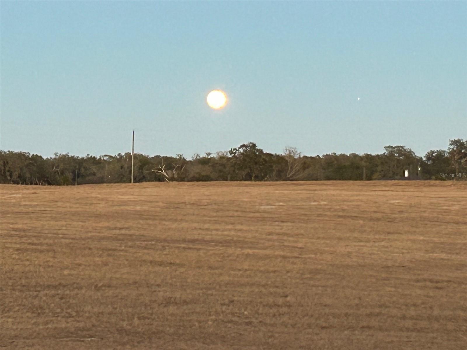 HUNTER HILL - Residential