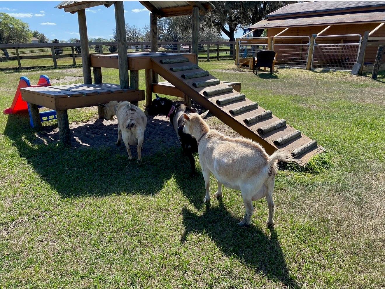 HUNTER HILL - Residential