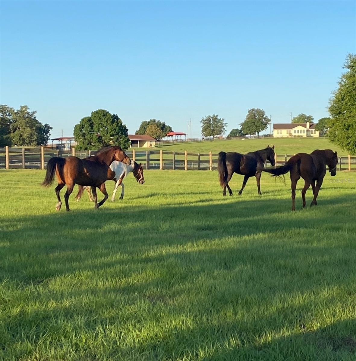 HUNTER HILL - Residential