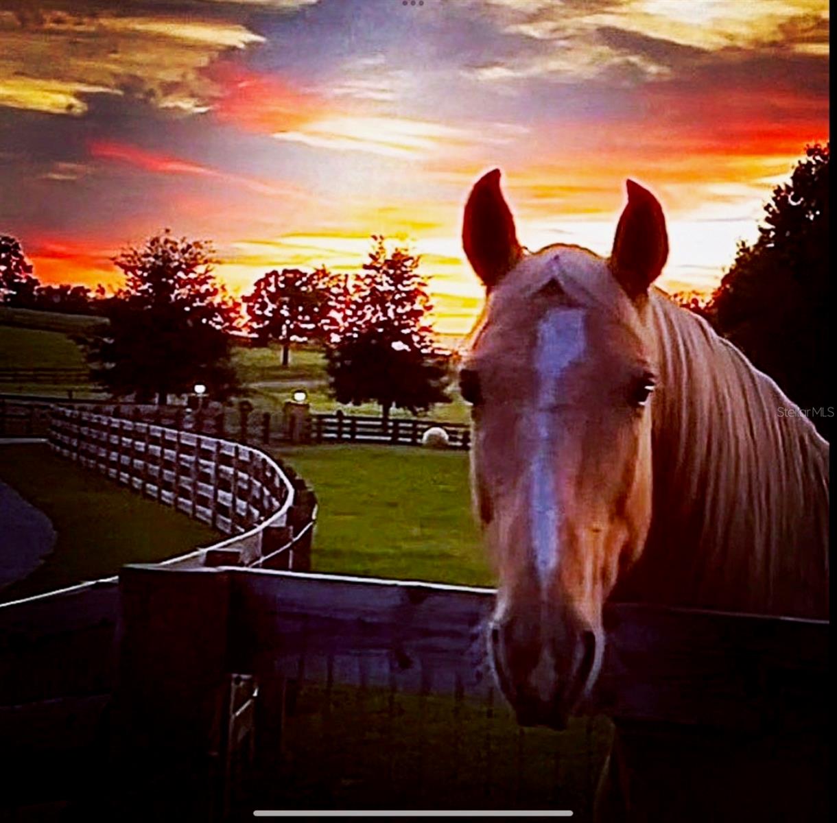 HUNTER HILL - Residential