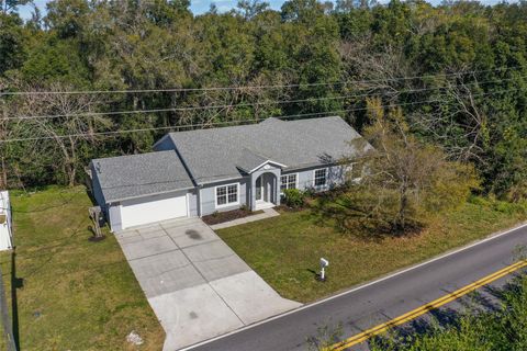 A home in APOPKA