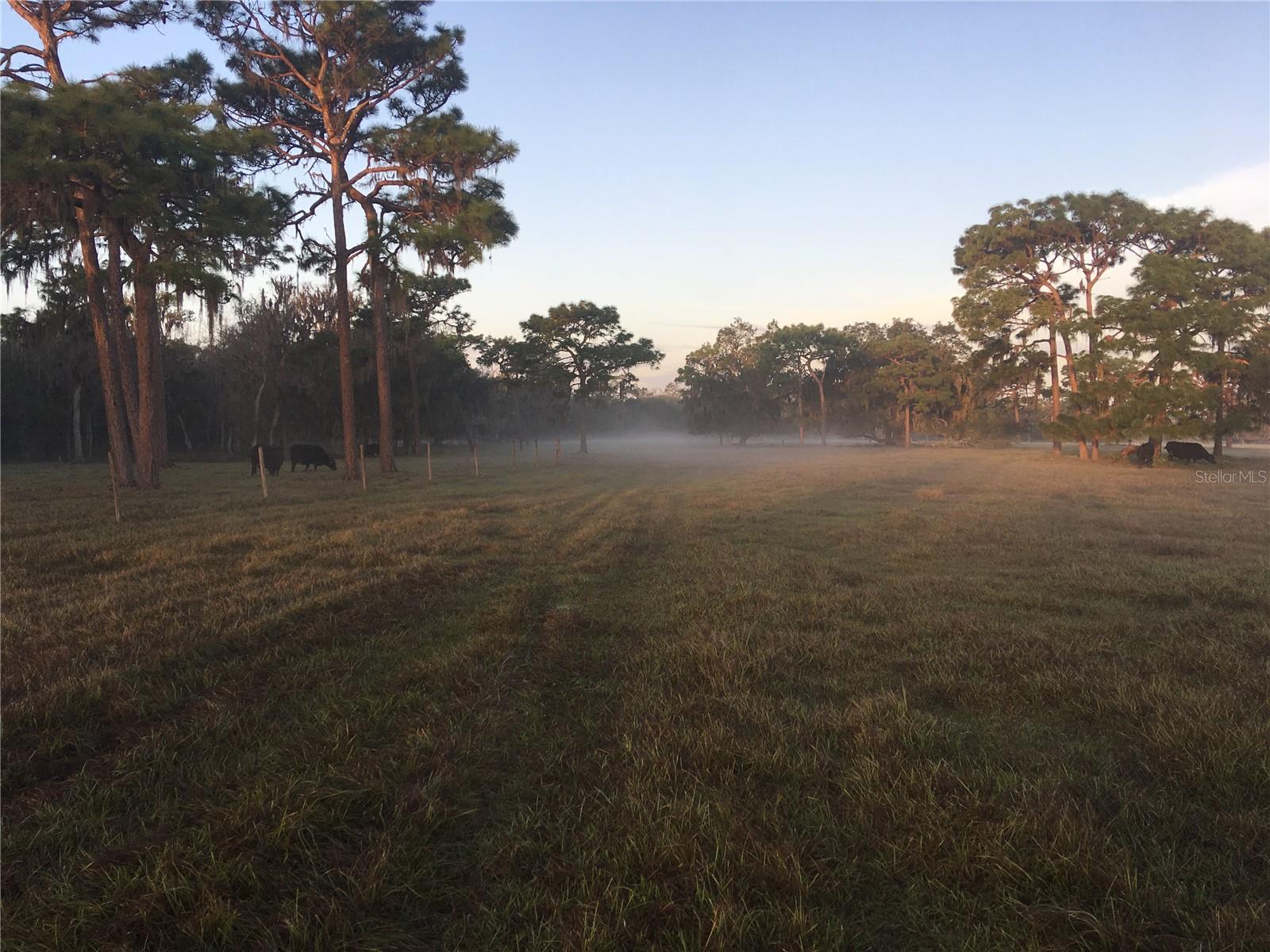 ACREAGE & UNREC - Land