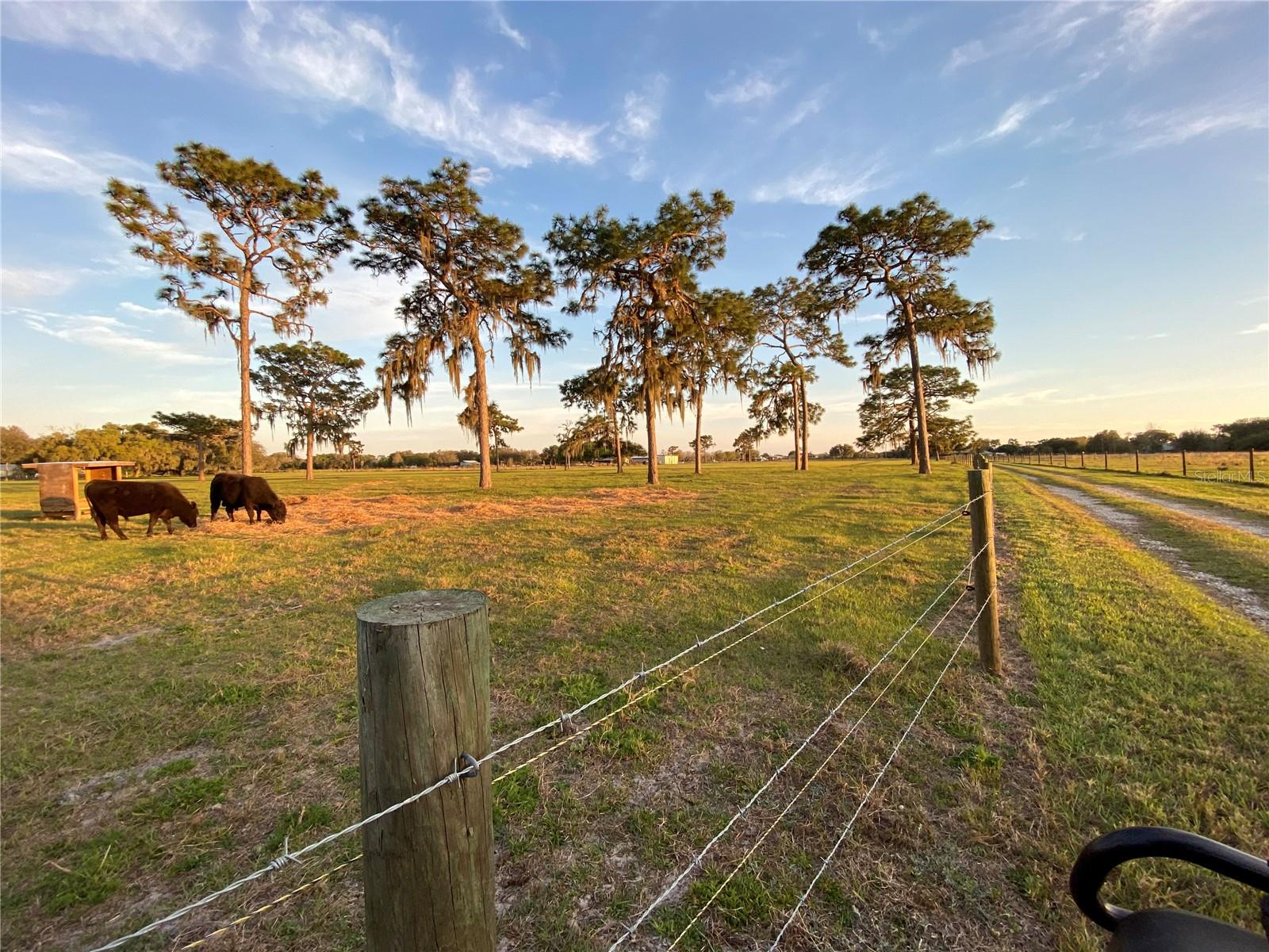 ACREAGE & UNREC - Land