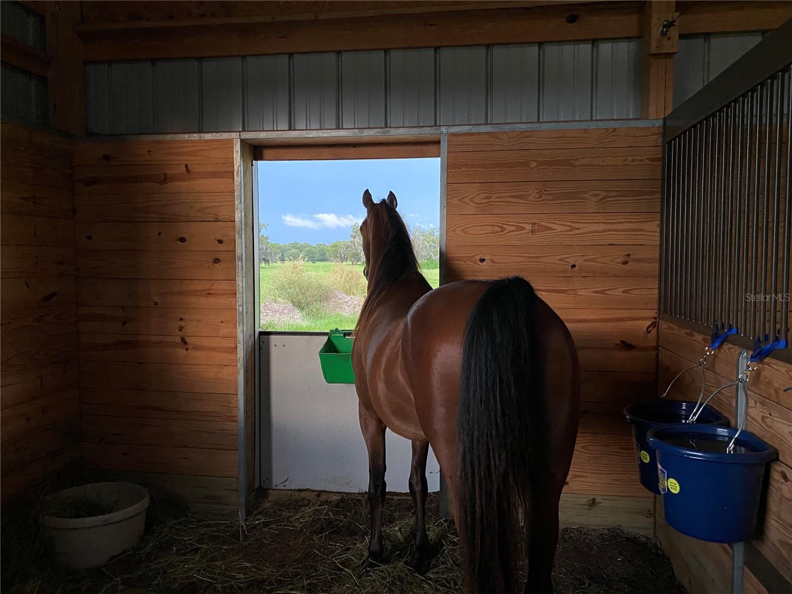 ACREAGE & UNREC - Land