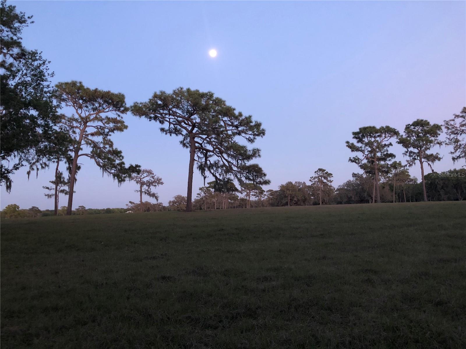 ACREAGE & UNREC - Land