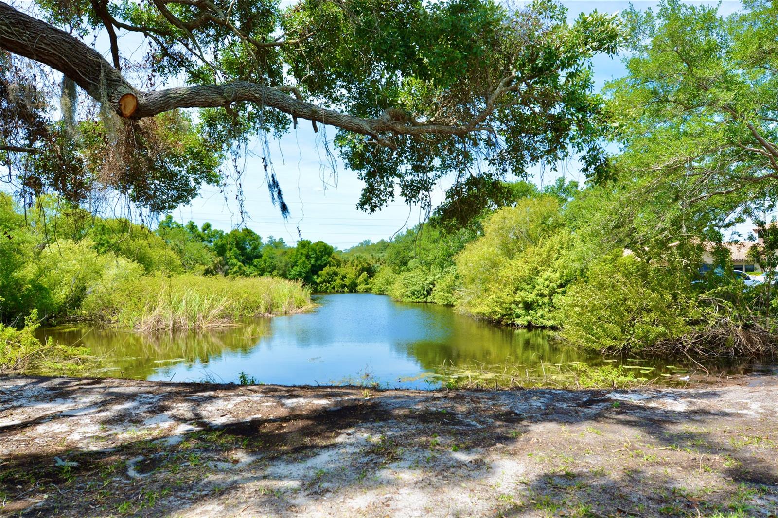 JCC 9 - Commercial Sale