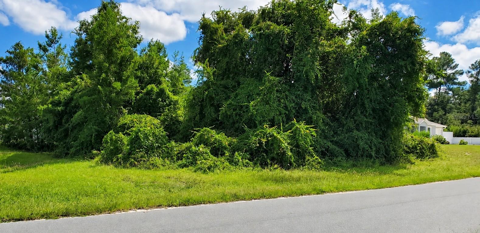 42ND AVE ROAD