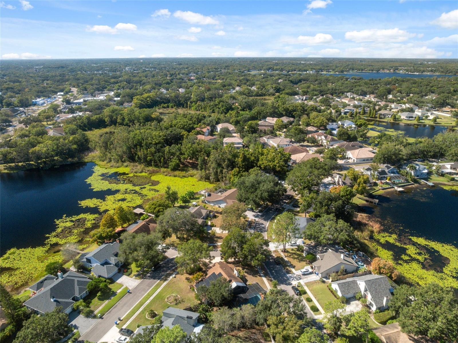 DANELI - Residential