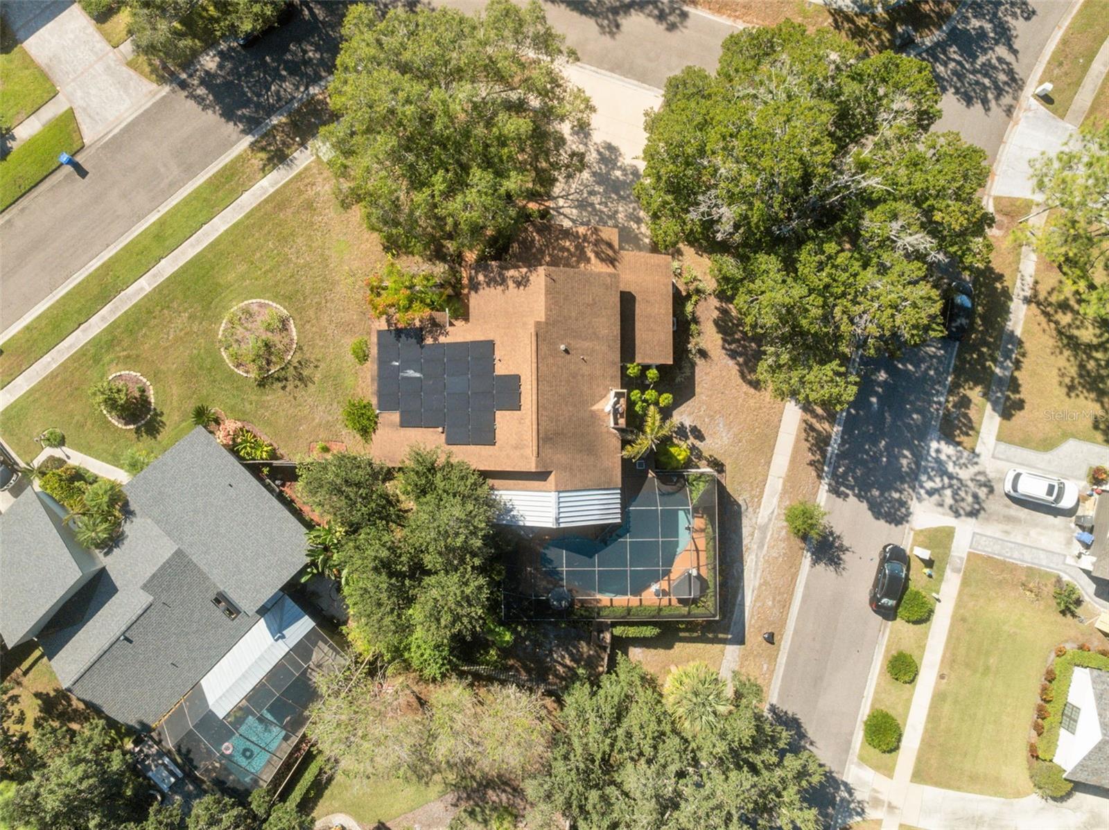 DANELI - Residential