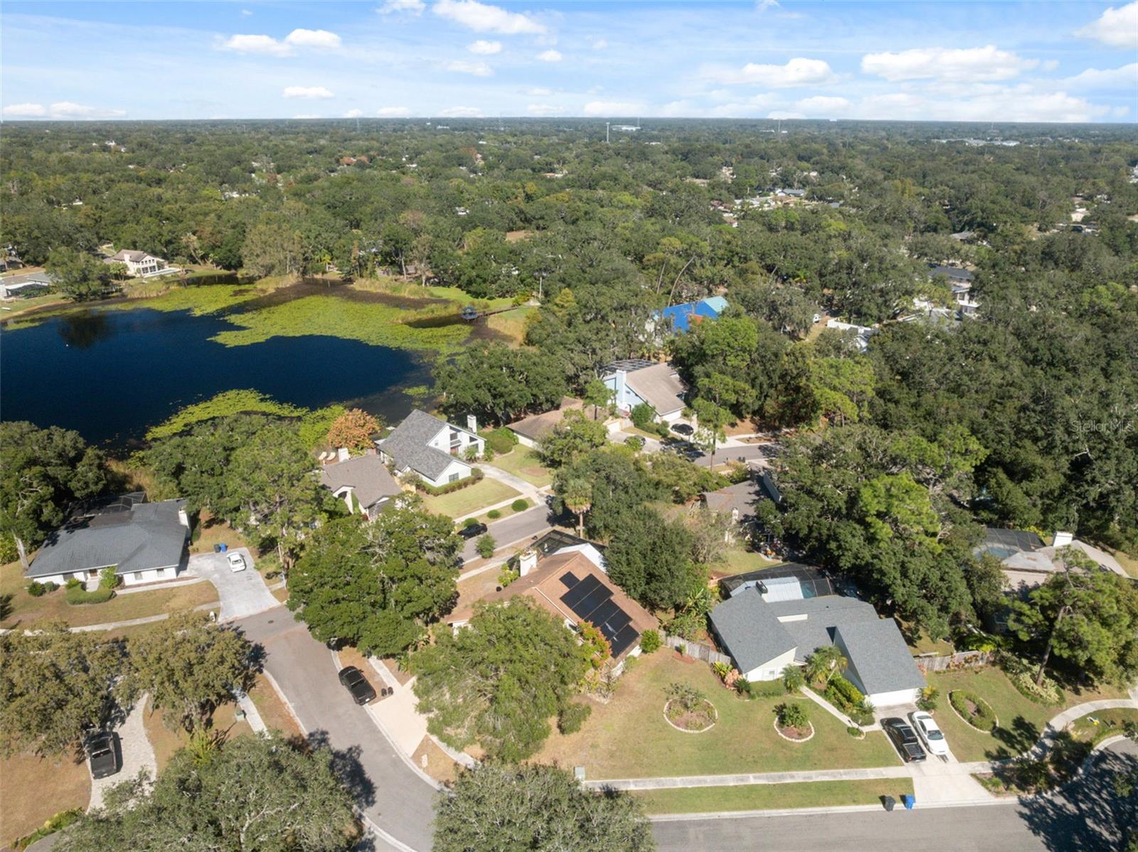 DANELI - Residential