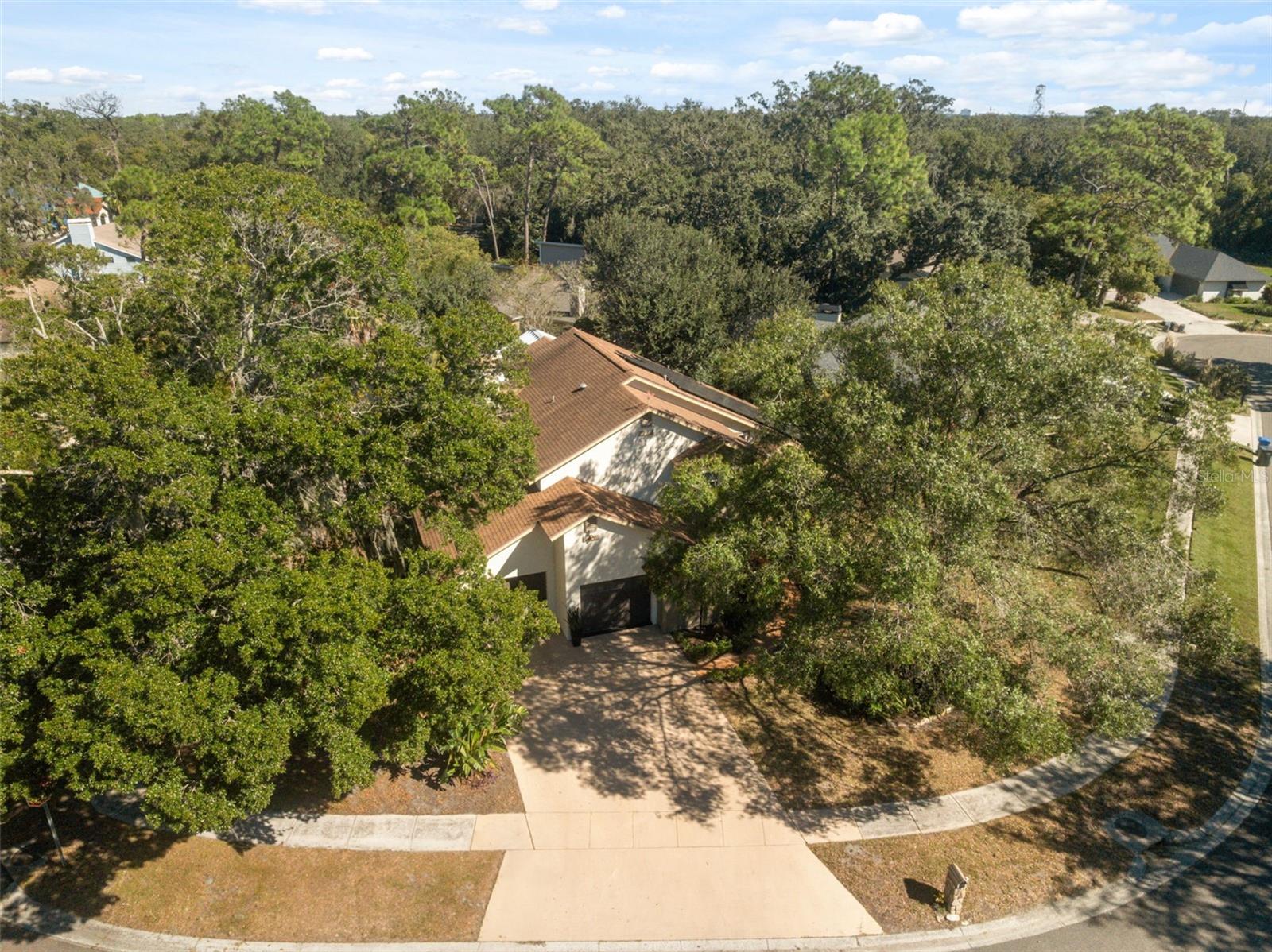 DANELI - Residential