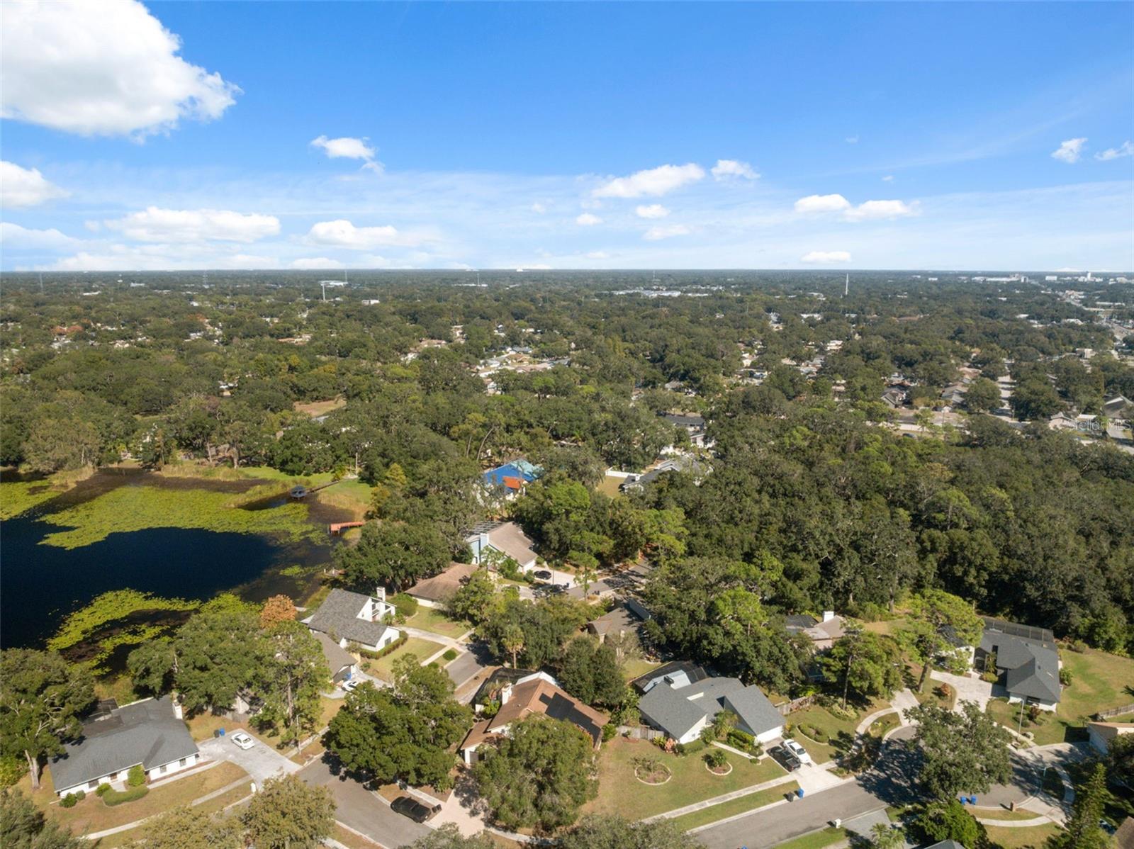 DANELI - Residential