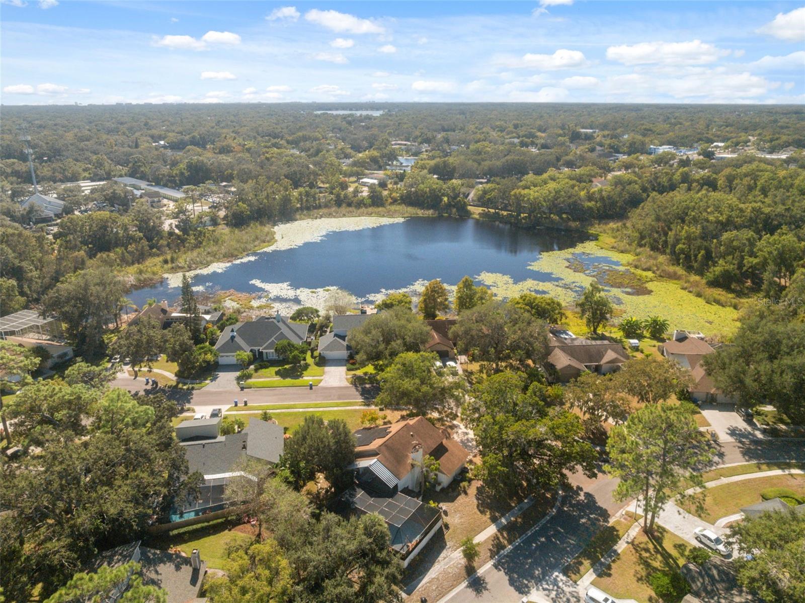 DANELI - Residential