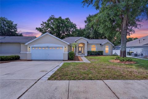 Photo of 2689 Sunbury St, Clermont, FL 34711 (MLS # G5114502)