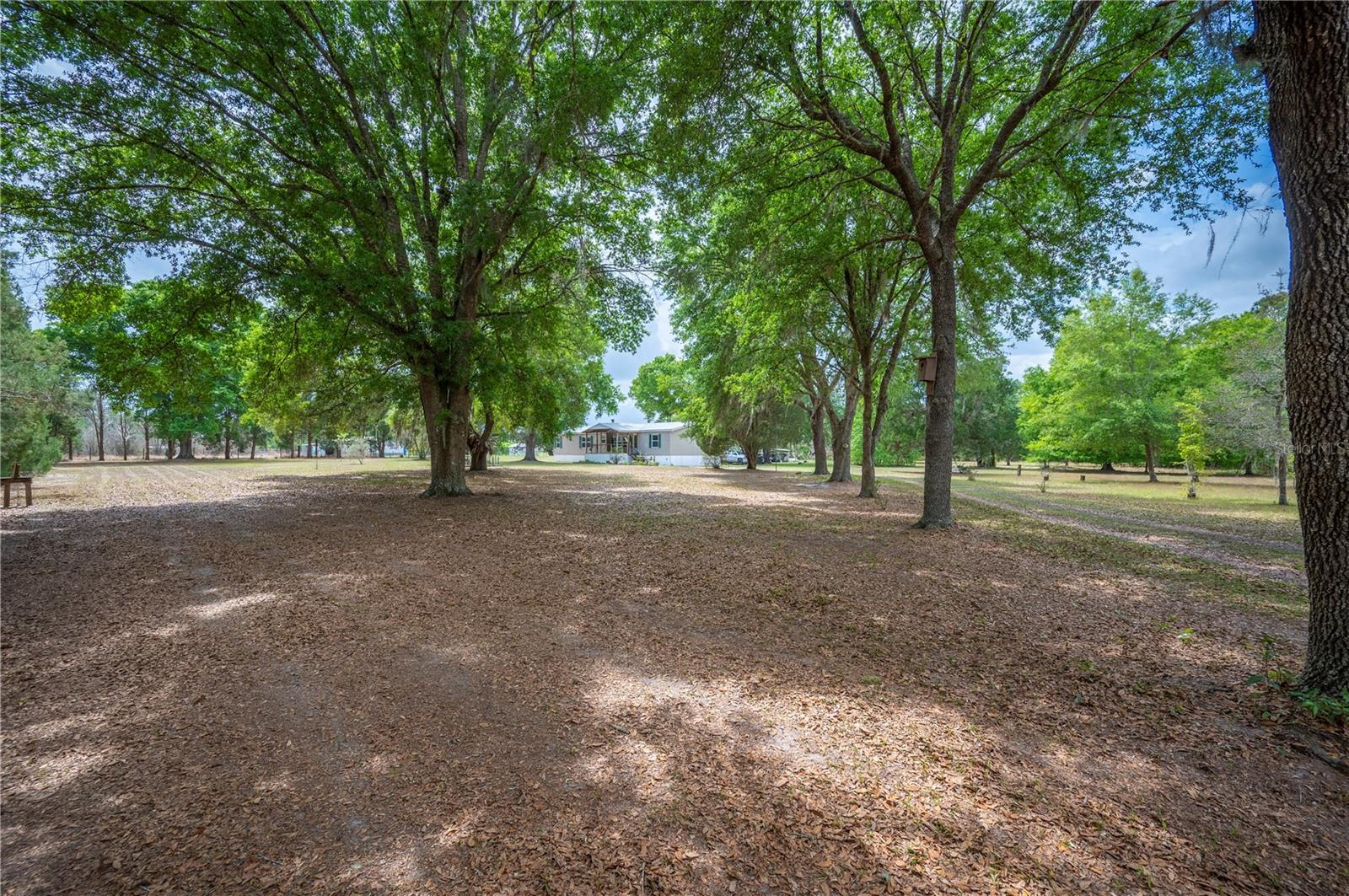 VAN FLEET ACRES - Residential