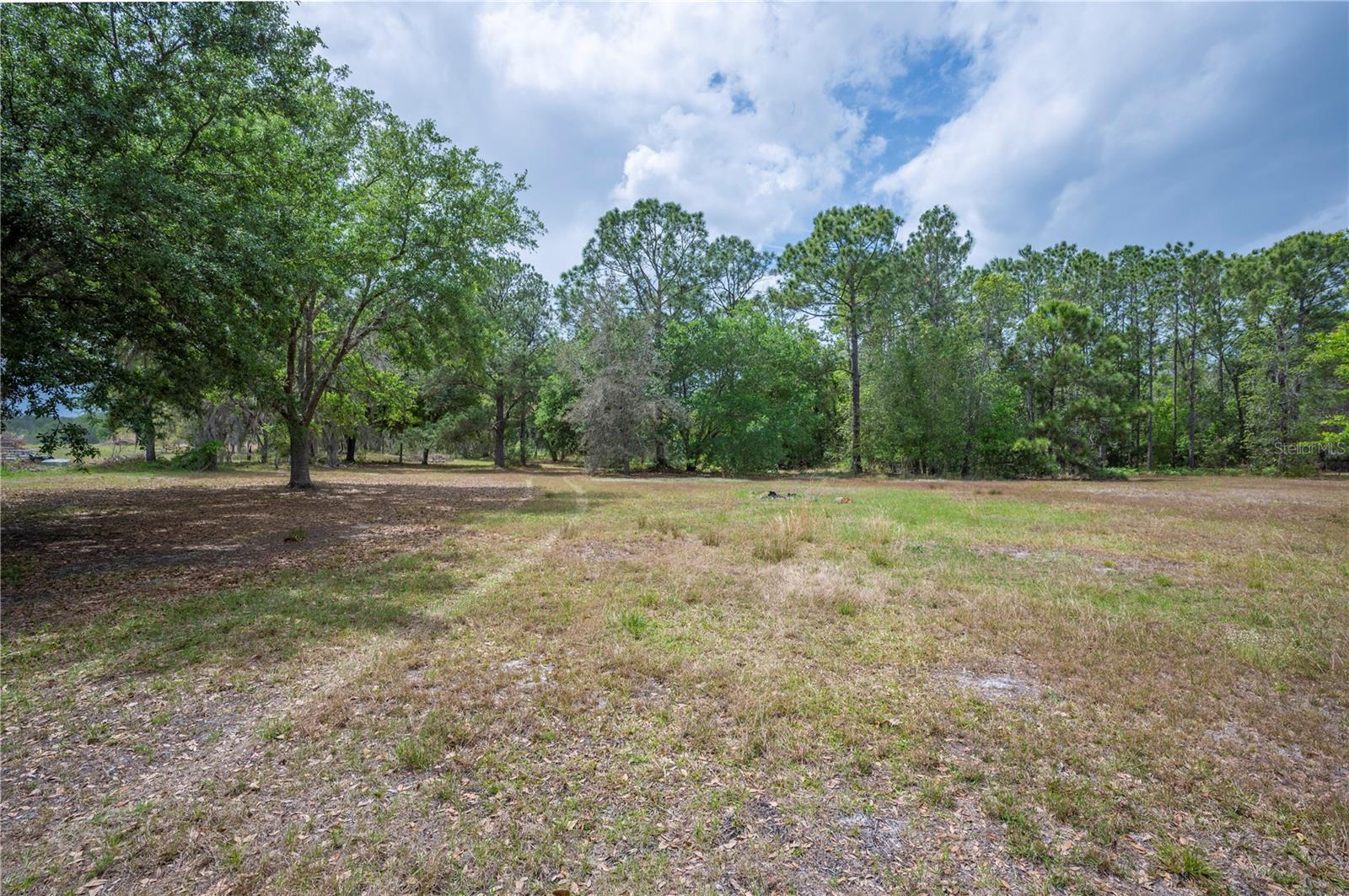 VAN FLEET ACRES - Residential