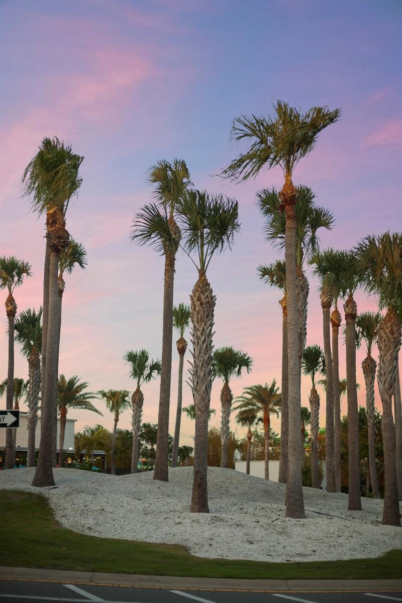 MARGARITAVILLE, ROLLING OAKS - Residential