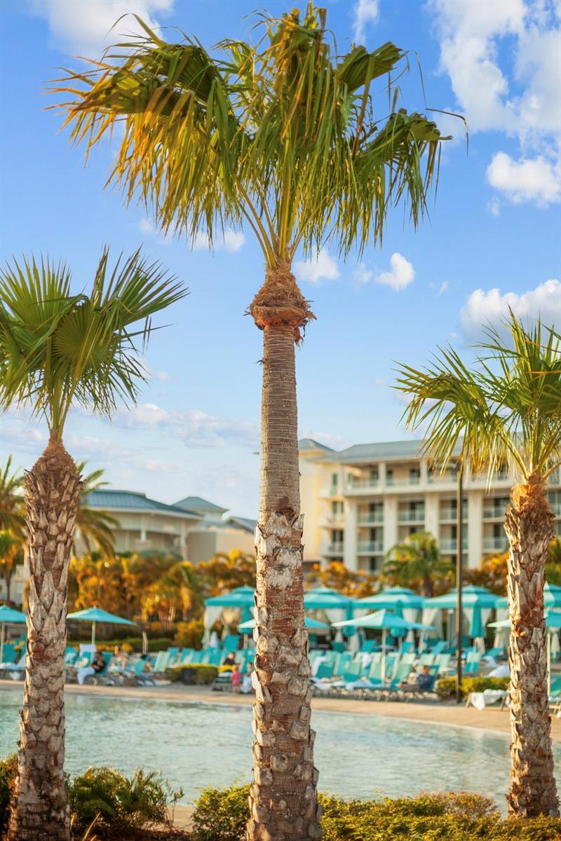 MARGARITAVILLE, ROLLING OAKS - Residential