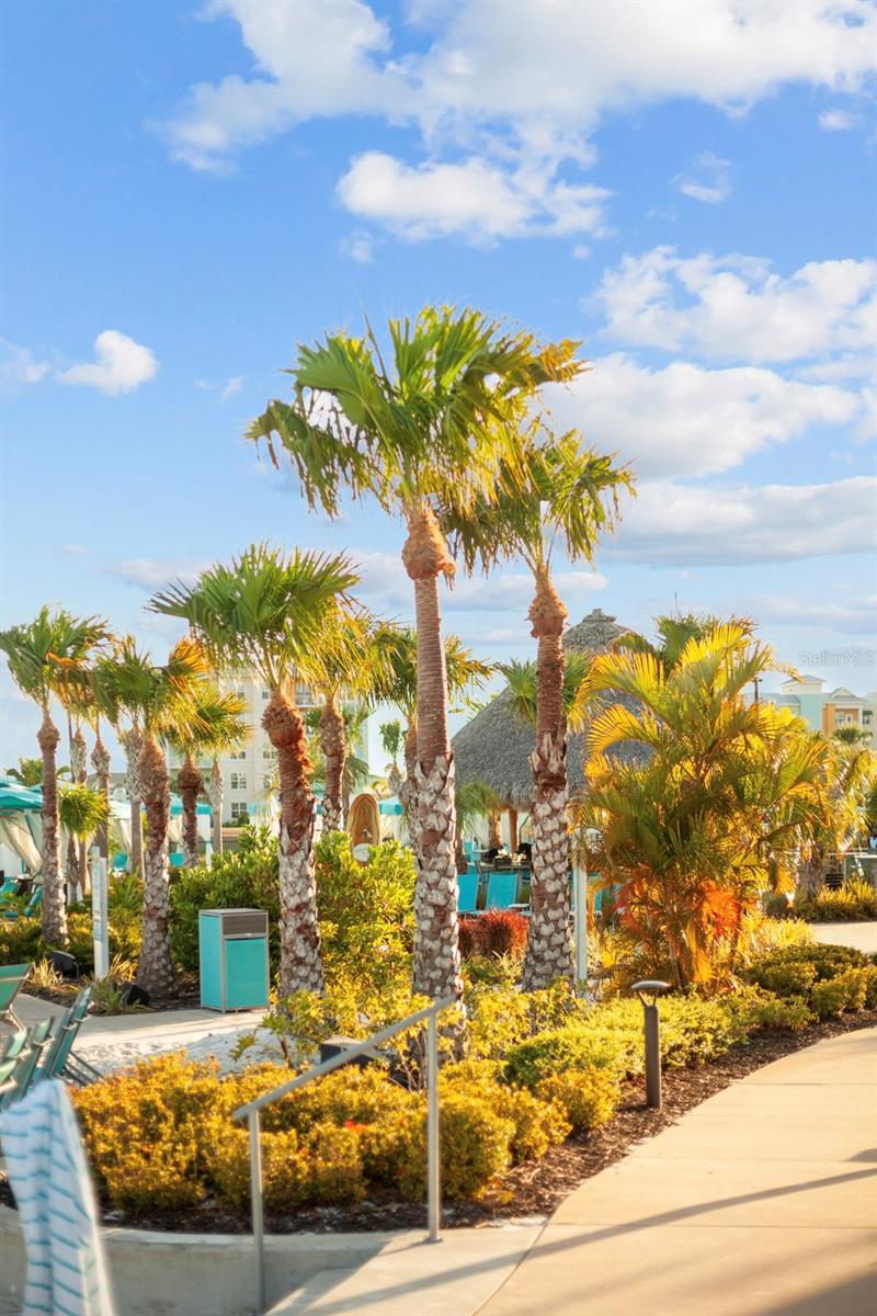 MARGARITAVILLE, ROLLING OAKS - Residential