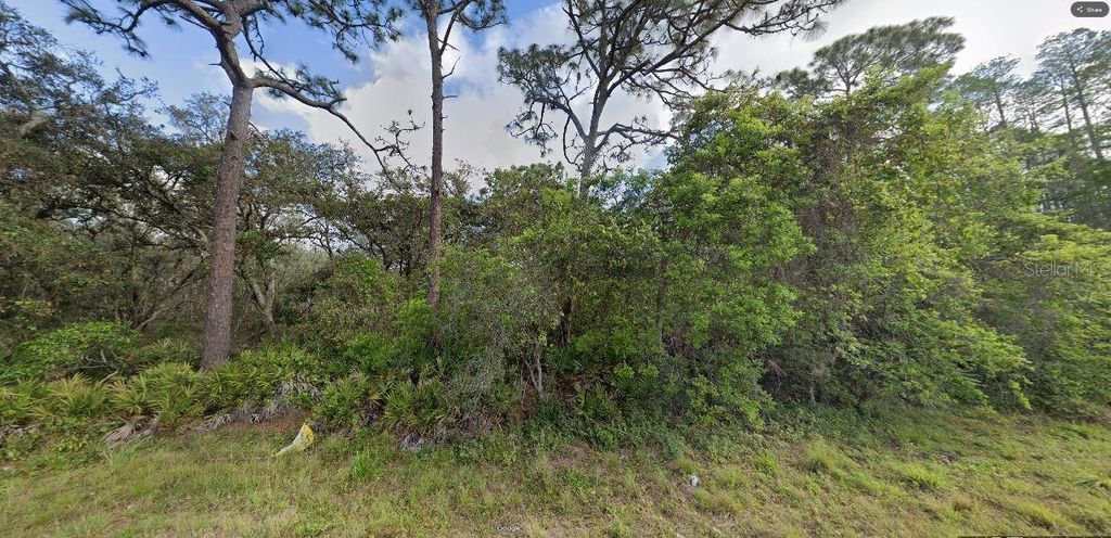 Photo of Deen Still Road, Polk City, FL 33868 (MLS # O6269846)