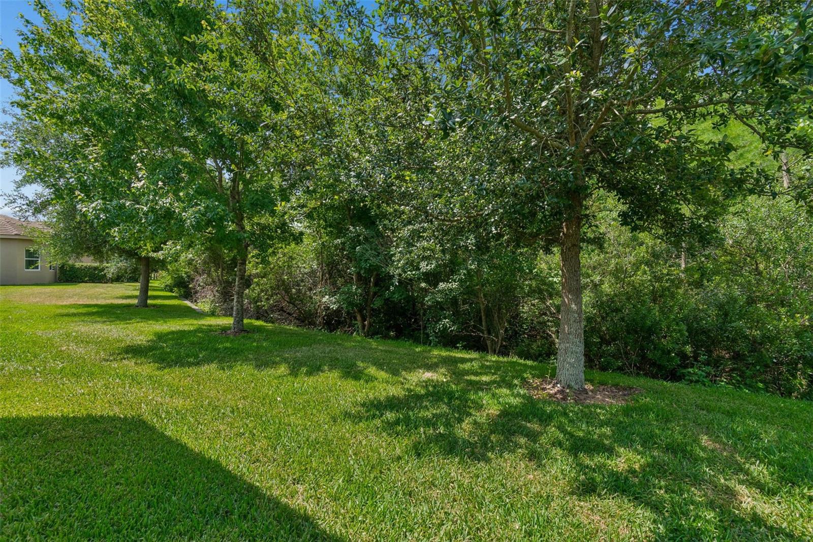 WIREGRASS M23-PH 2 - Residential