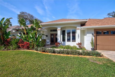 A home in PONCE INLET