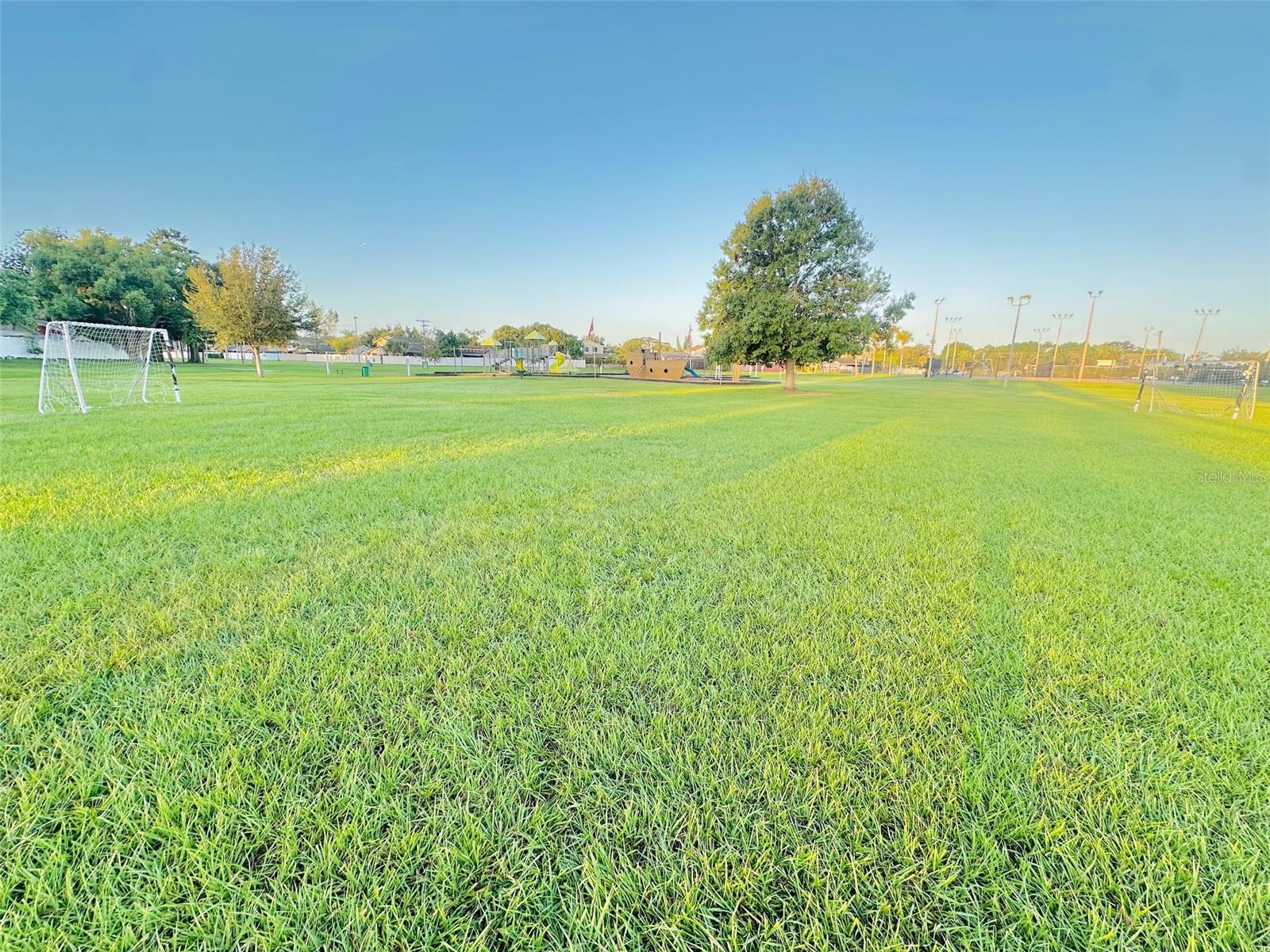 ROSEMOUNT VILLAGE UNIT 1 - Residential
