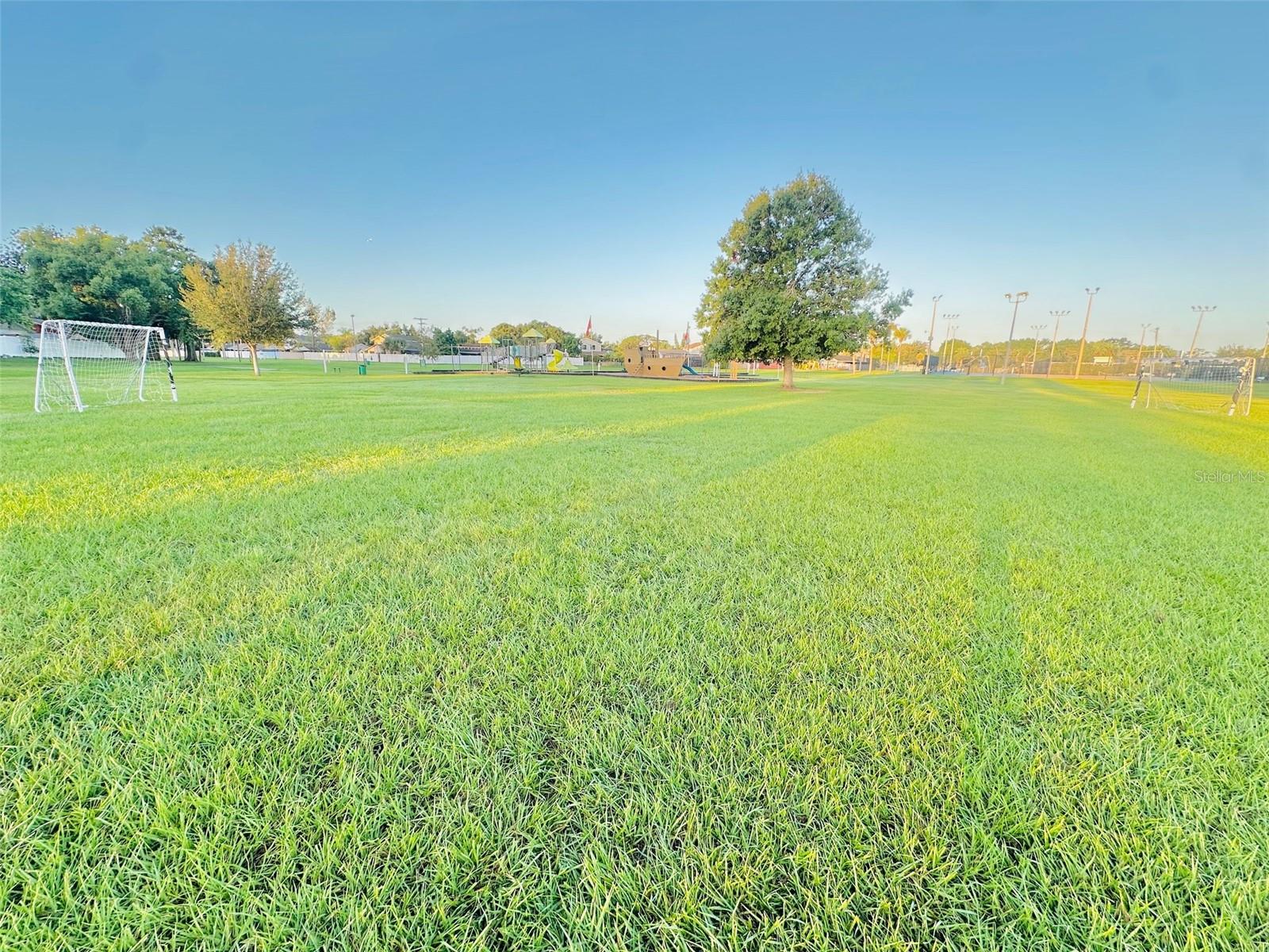 ROSEMOUNT VILLAGE UNIT 1 - Residential