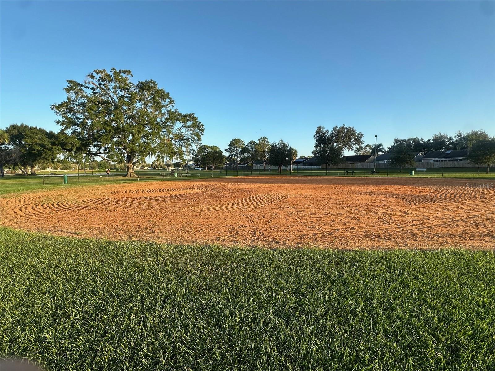 ROSEMOUNT VILLAGE UNIT 1 - Residential