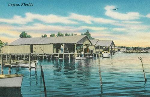 CASCO DORADO - Residential