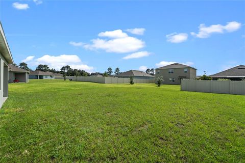 A home in MOUNT DORA