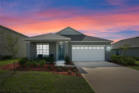 A home in MOUNT DORA